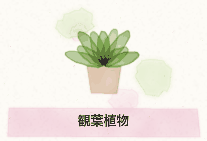 観葉植物の水彩画