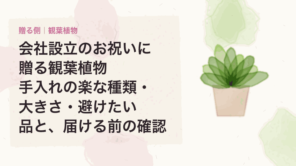 会社設立のお祝いに贈る観葉植物｜手入れの楽な種類・大きさ・避けたい品と、届ける前の確認