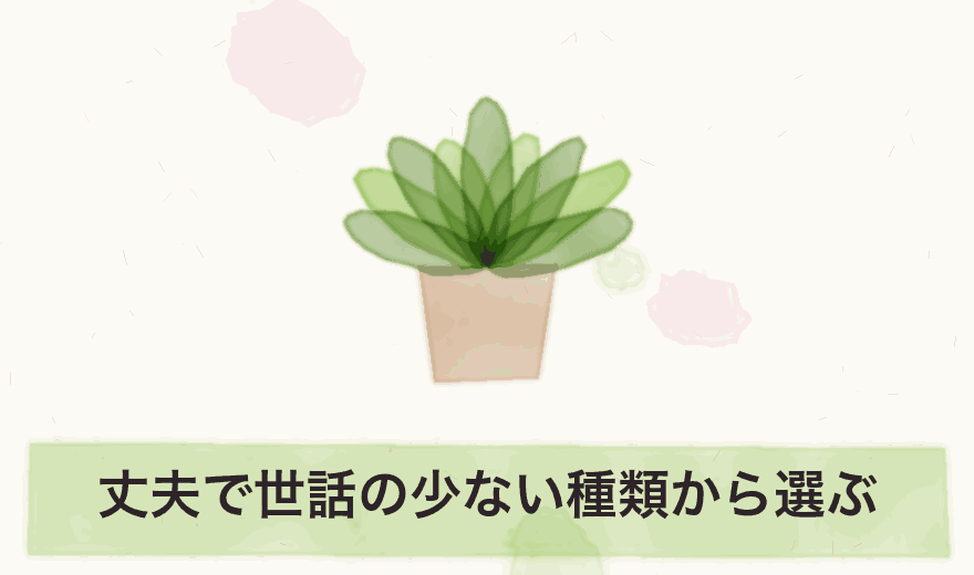丈夫で世話の少ない種類から選ぶ