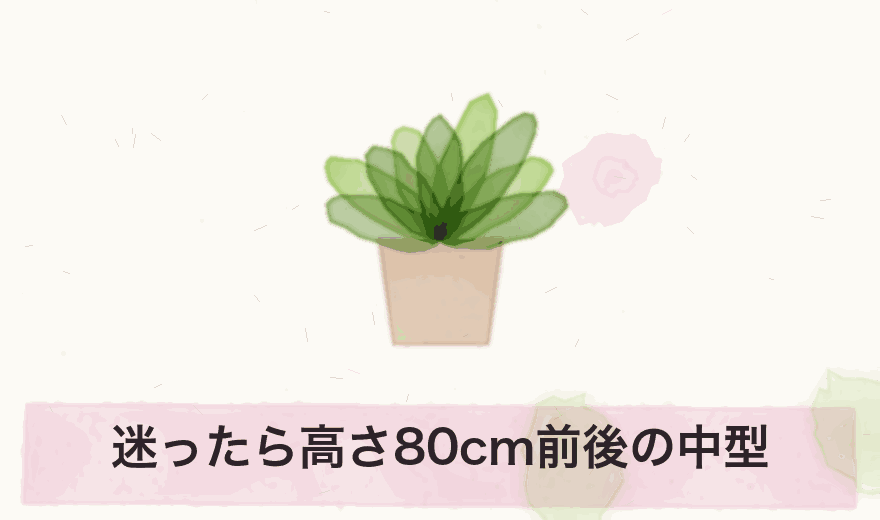迷ったら高さ80cm前後の中型