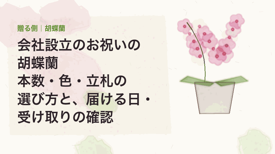 会社設立のお祝いの胡蝶蘭｜本数・色・立札の選び方と、届ける日・受け取りの確認