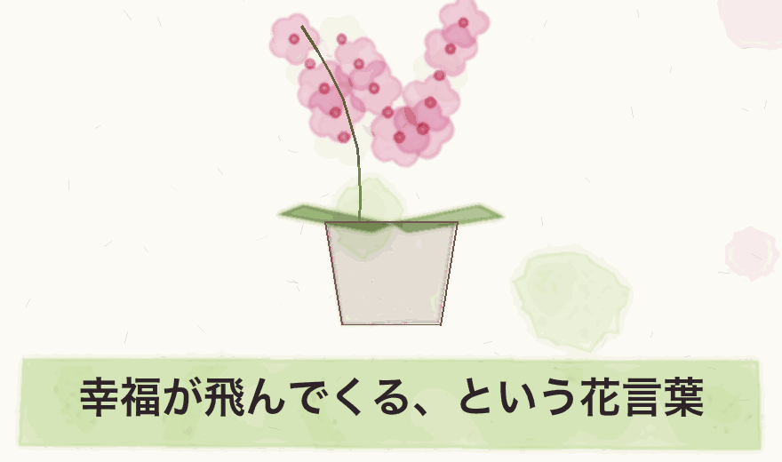 幸福が飛んでくる、という花言葉