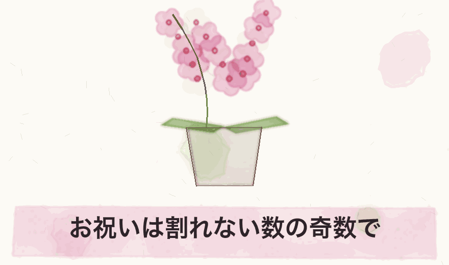 お祝いは割れない数の奇数で