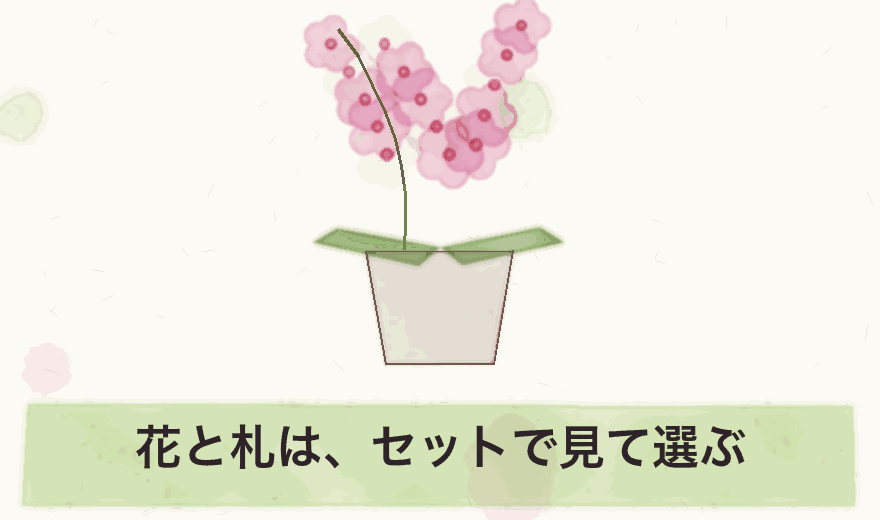 花と札は、セットで見て選ぶ